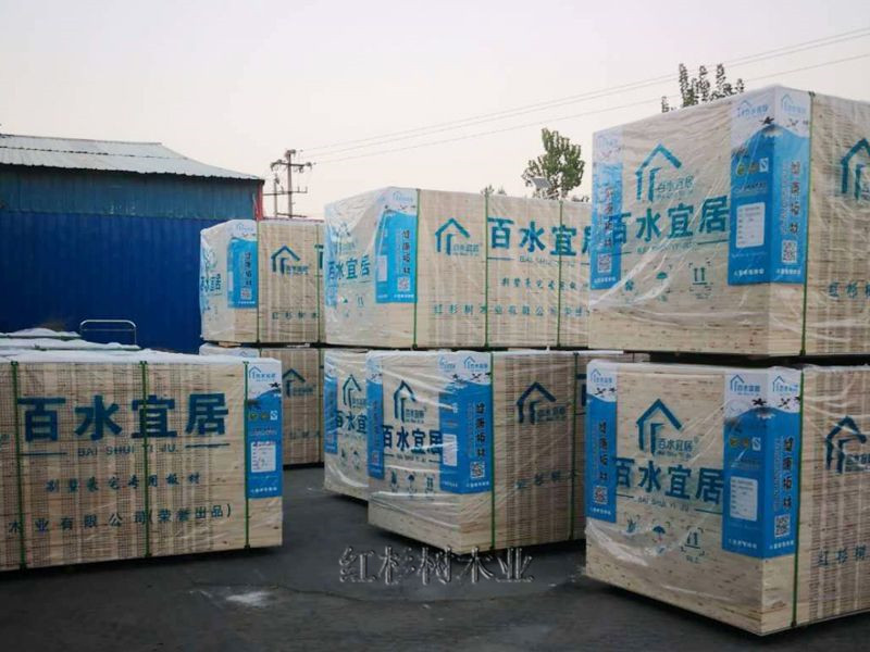 廠(chǎng)容廠(chǎng)貌